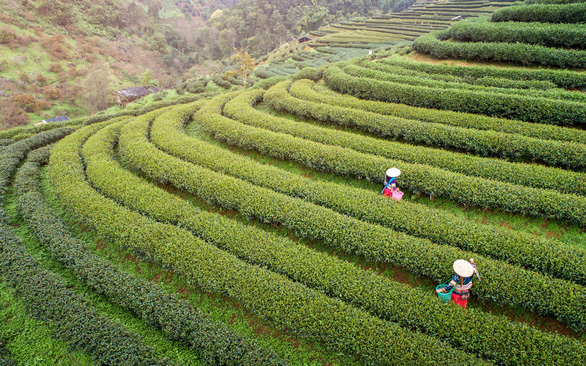  Thành phố Chiang Mai, Thái Lan - Ảnh: Travel and Leisure